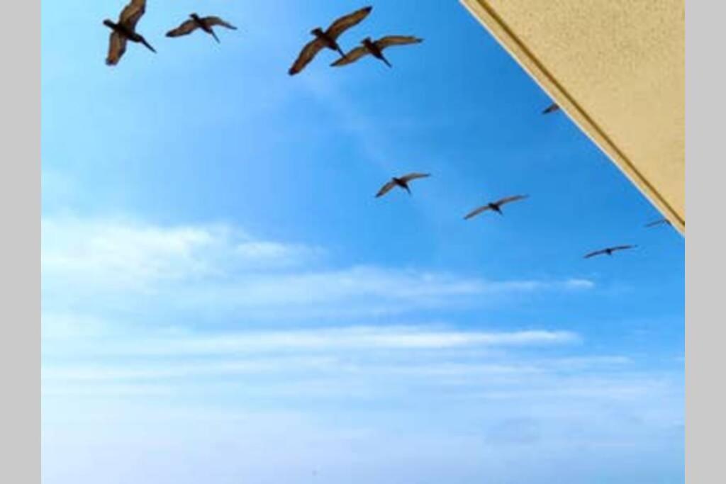 Beach Front 18Th Flr, Best Ocean View, New Upgrades Destin Luaran gambar